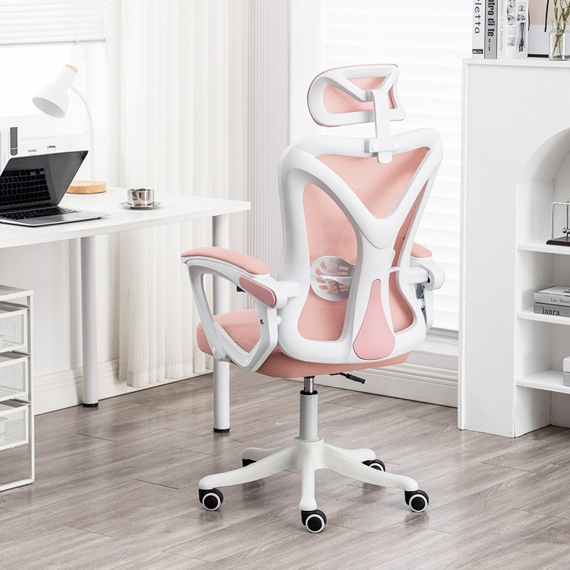 Home Office Ergonomics - Ergonomic Computer Desk Chair for Home