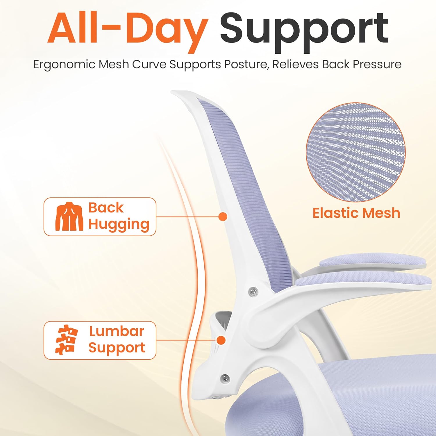 Ergonomic Mesh Office Chair wi - Home Office Ergonomics 리뷰 및 가격