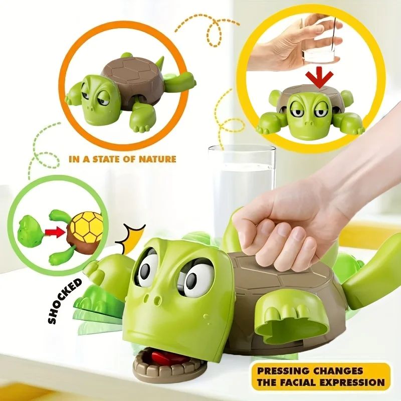 Turtle Coasters Funny Toy Insu - Home Office Jobs 리뷰 및 가격