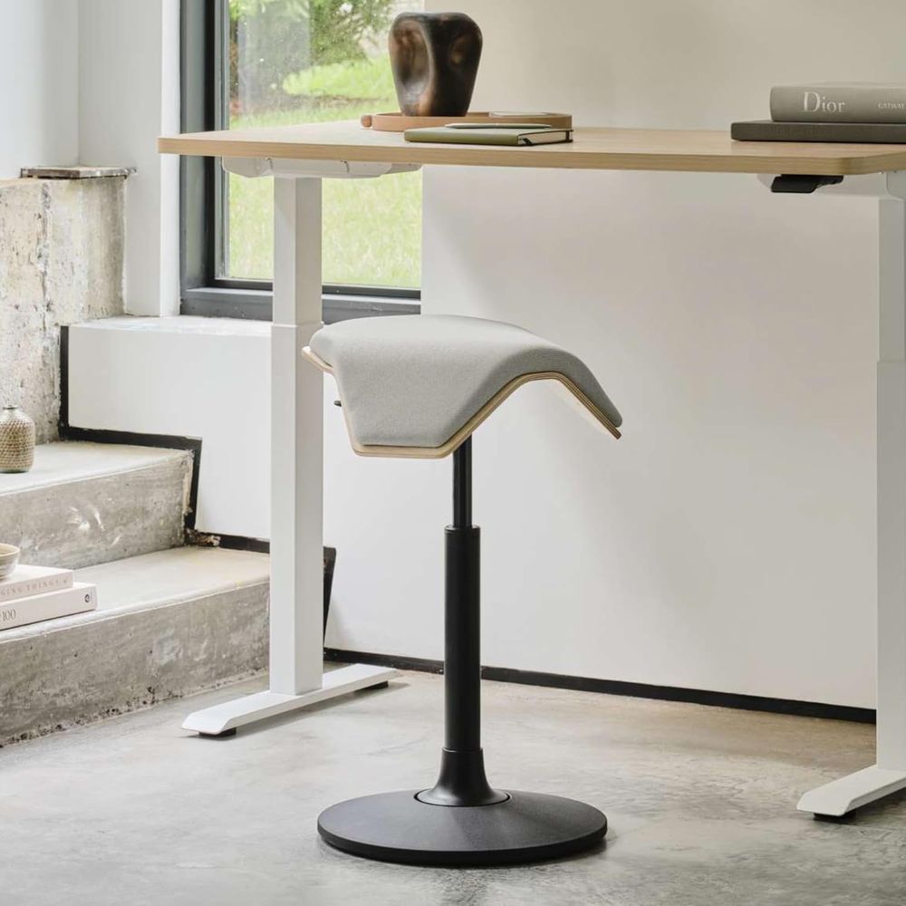 Height-Adjustable Ergonomic Wo - Home Office Ergonomics 리뷰 및 가격