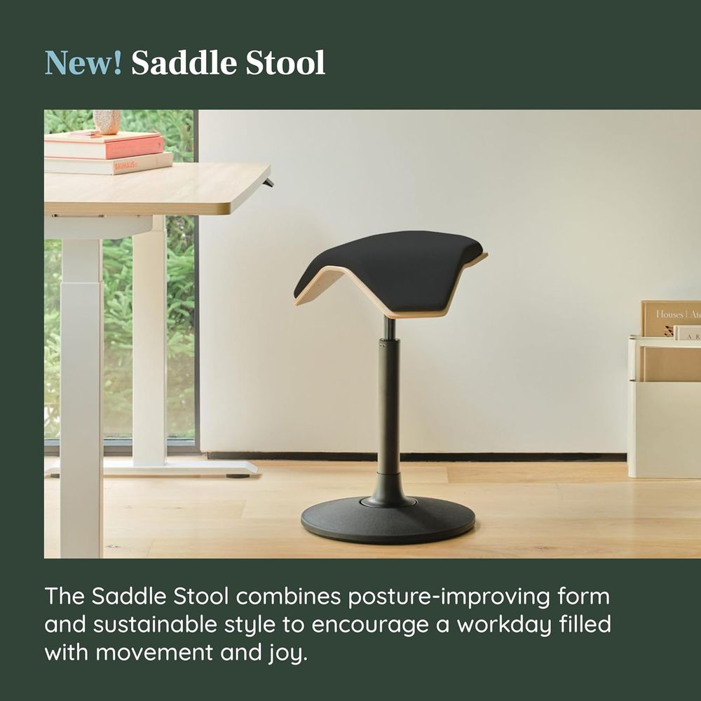 Height-Adjustable Ergonomic Wo - Home Office Ergonomics 리뷰 및 가격