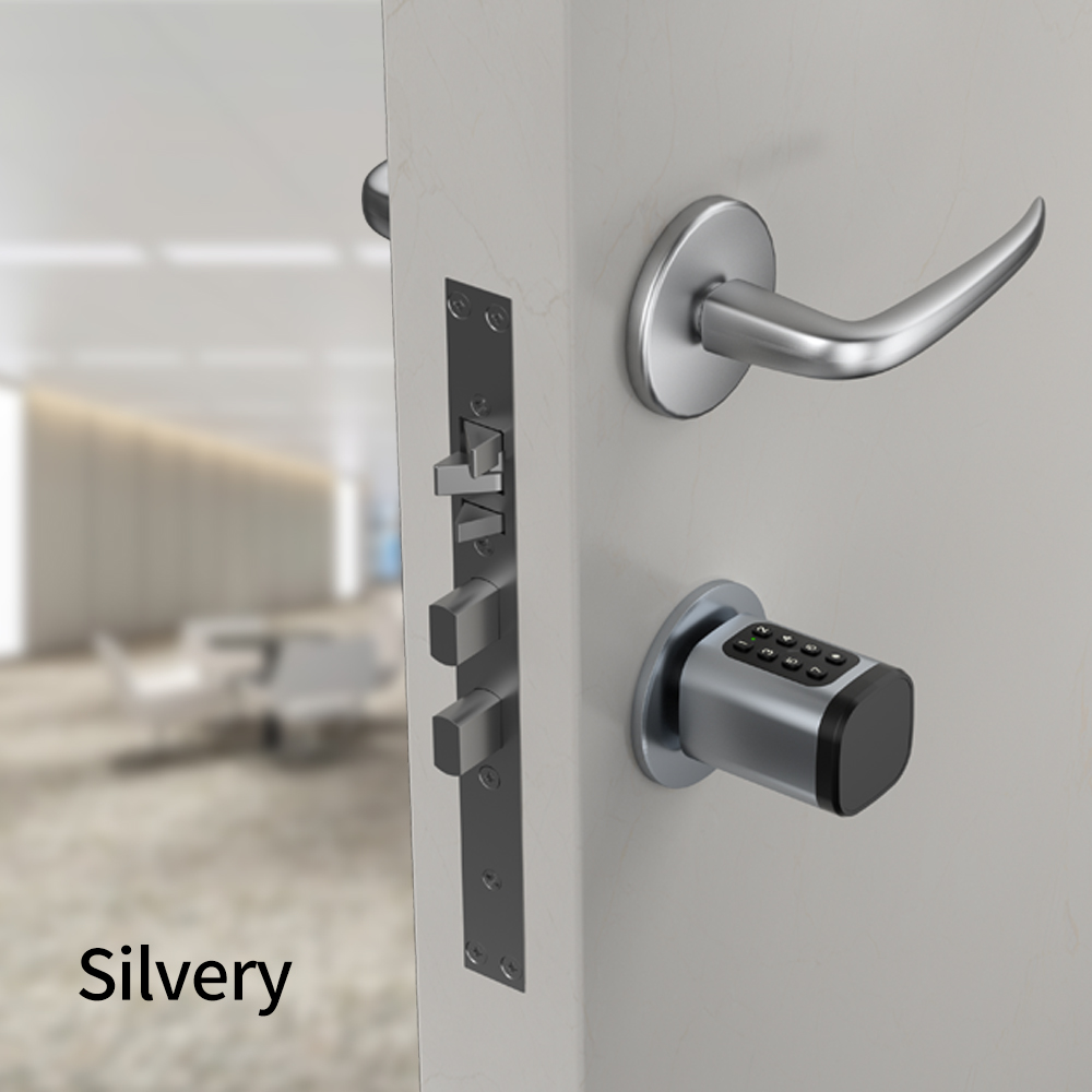 Tuya Smart Mortise Lock IP65 B - Home Office Google 리뷰 및 가격