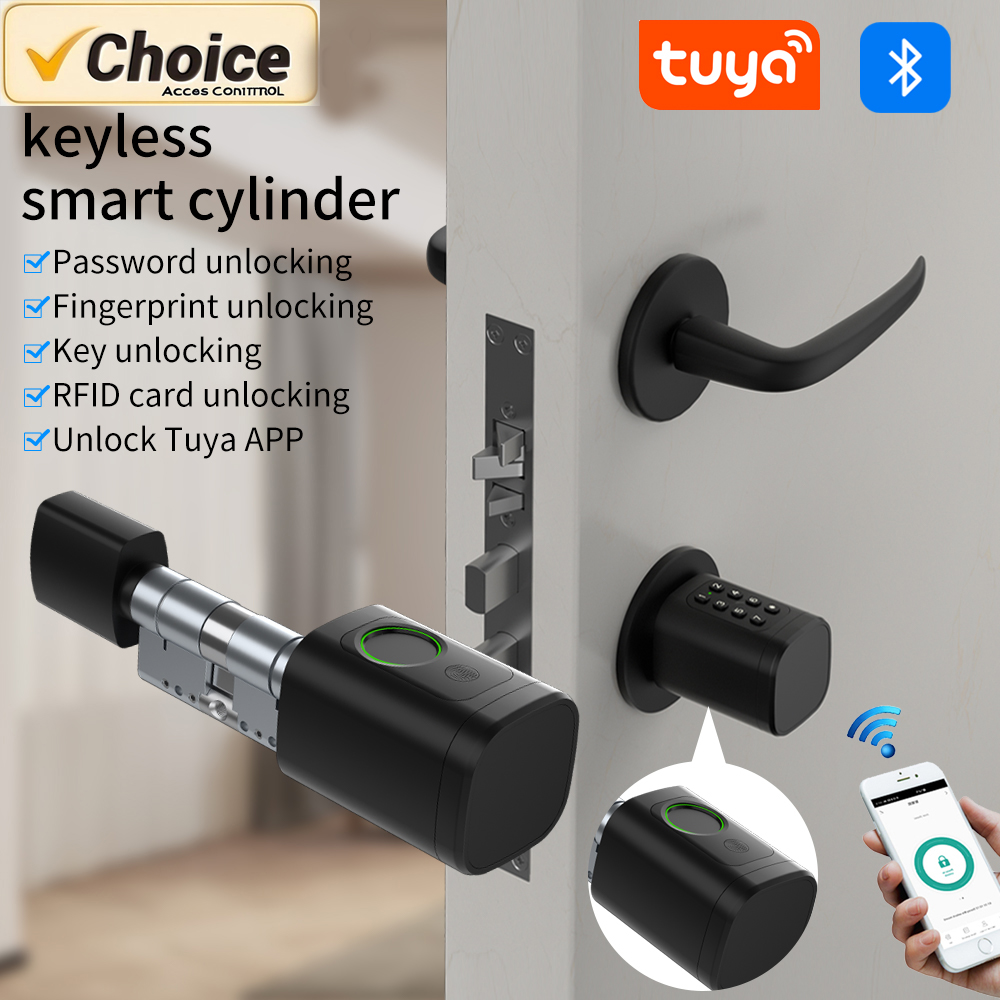 Tuya Smart Mortise Lock IP65 B - Home Office Google 리뷰 및 가격