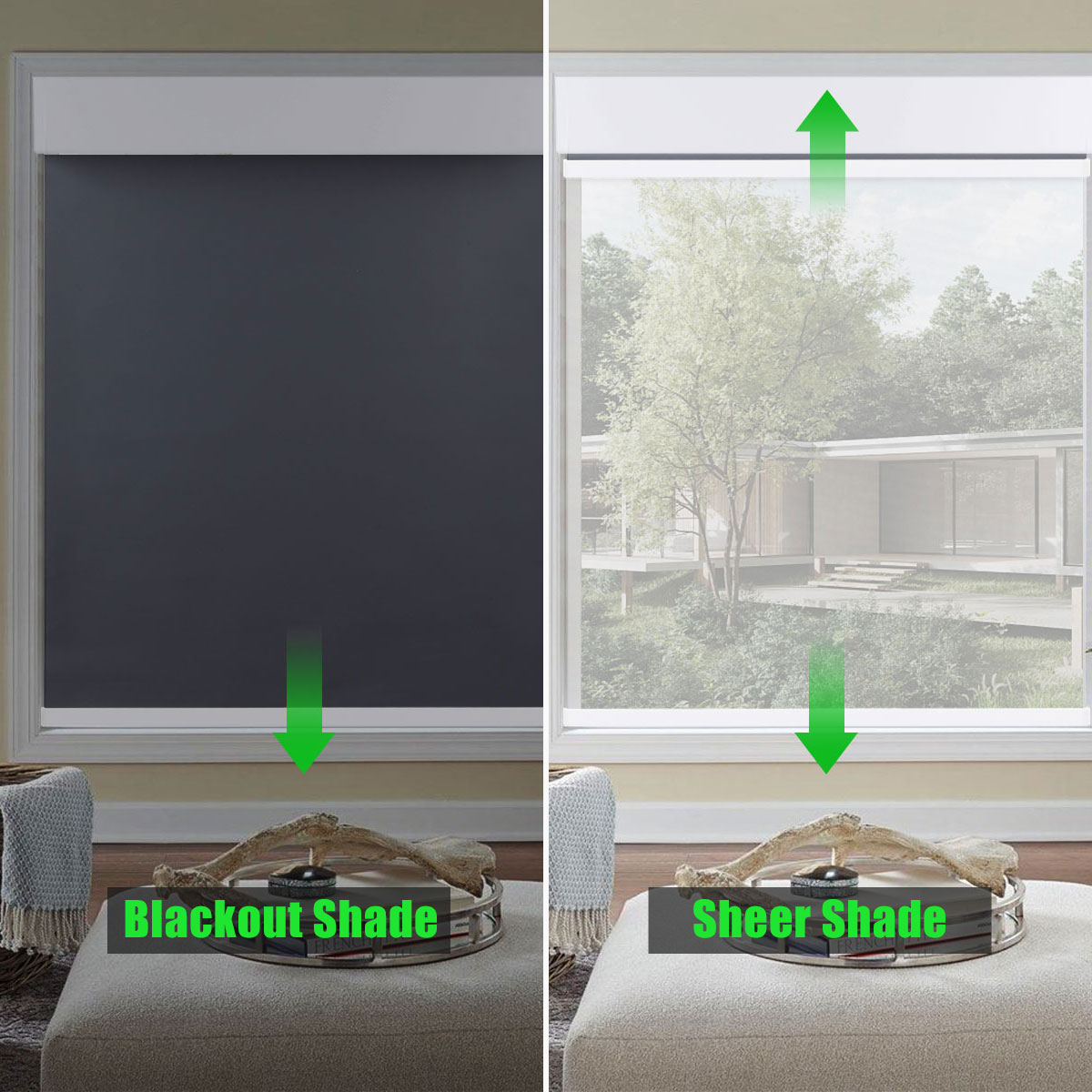 BOLAIEN Motorized Roller Shade - Home Office Google 리뷰 및 가격