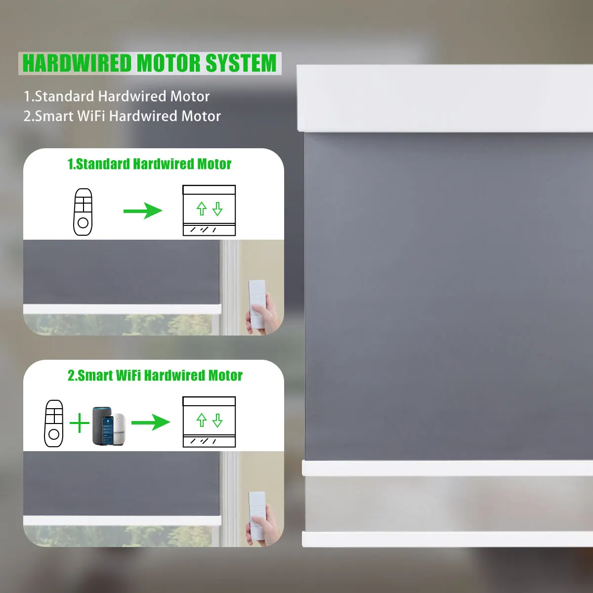 BOLAIEN Motorized Roller Shade - Home Office Google 리뷰 및 가격