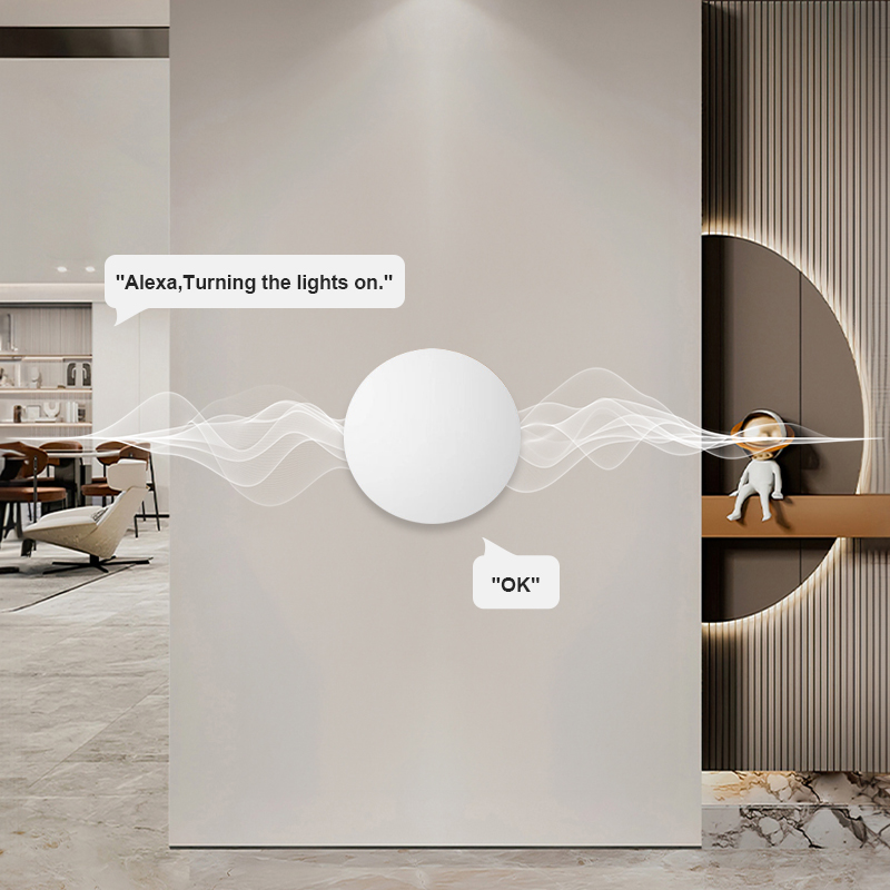 Smart Wireless Button Scene Sw - Home Office Google 리뷰 및 가격