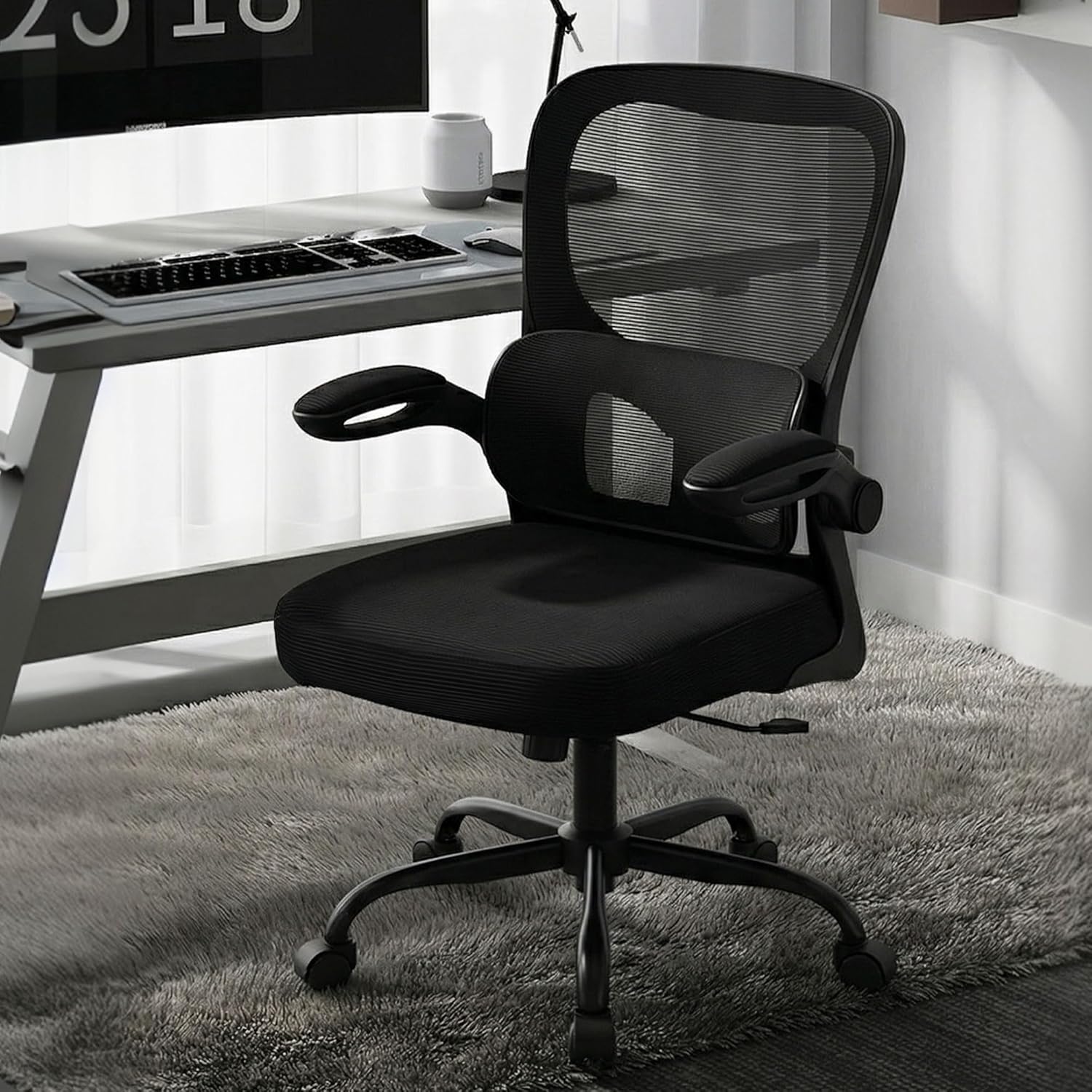 Ergonomic Office Chair with Ad - Home Office Ergonomics 리뷰 및 가격