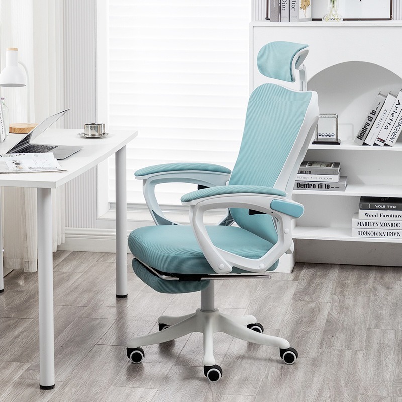 Ergonomic Computer Desk Chair  - Home Office Ergonomics 리뷰 및 가격