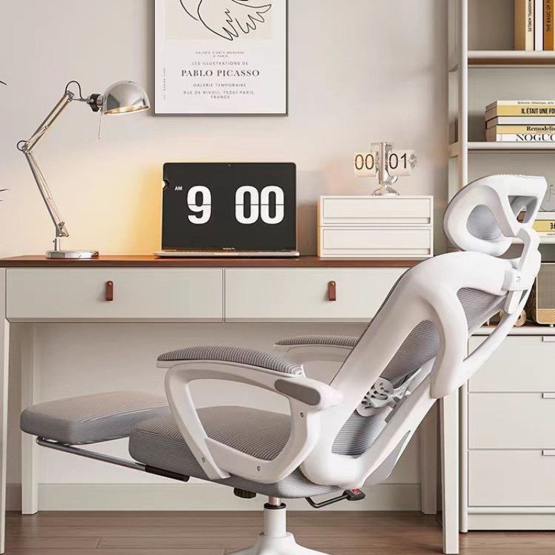 Ergonomic Computer Desk Chair  - Home Office Ergonomics 리뷰 및 가격