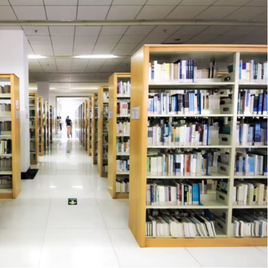 Factory Direct Double-Sided Bo - Home Office With Library 리뷰 및 가격