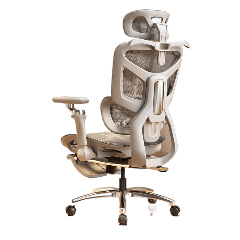 Ergonomic Office Chair for Com - Home Office Ergonomics 리뷰 및 가격