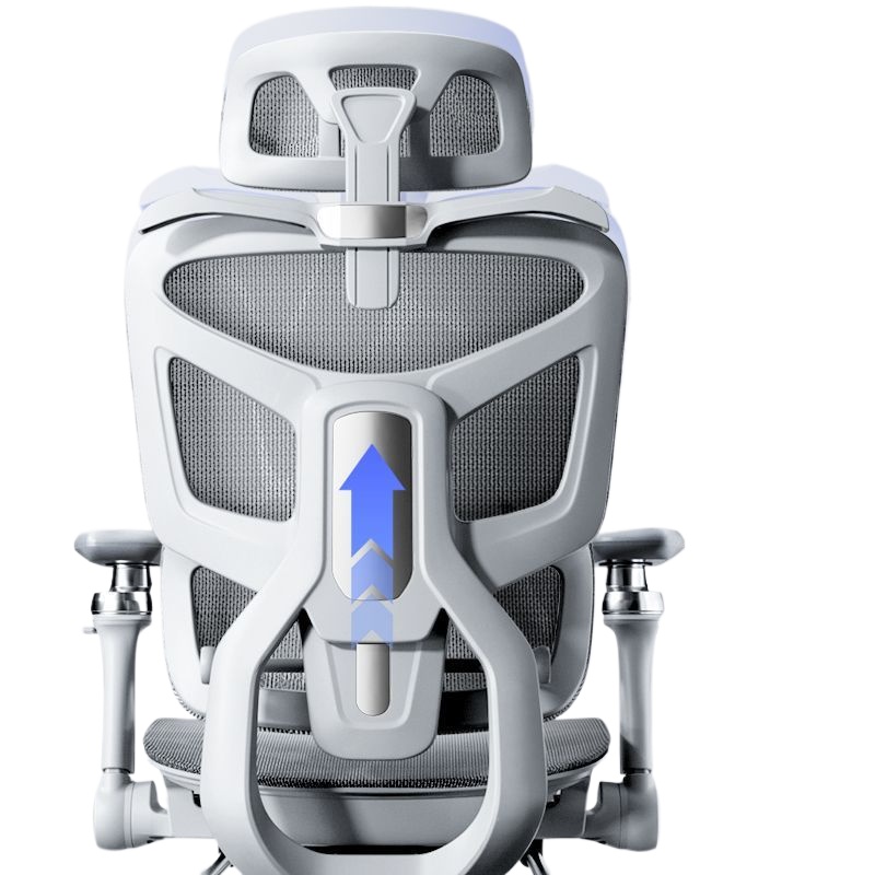 Ergonomic Office Chair for Com - Home Office Ergonomics 리뷰 및 가격
